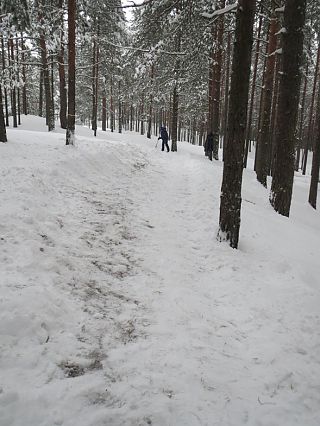 Трасса Дуатлона Снежный от XCnews