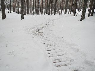 Трасса Дуатлона Снежный от XCnews