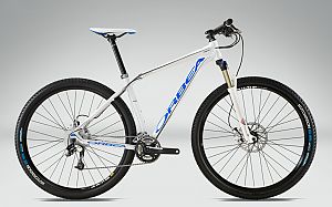 Orbea Alma 29er H30