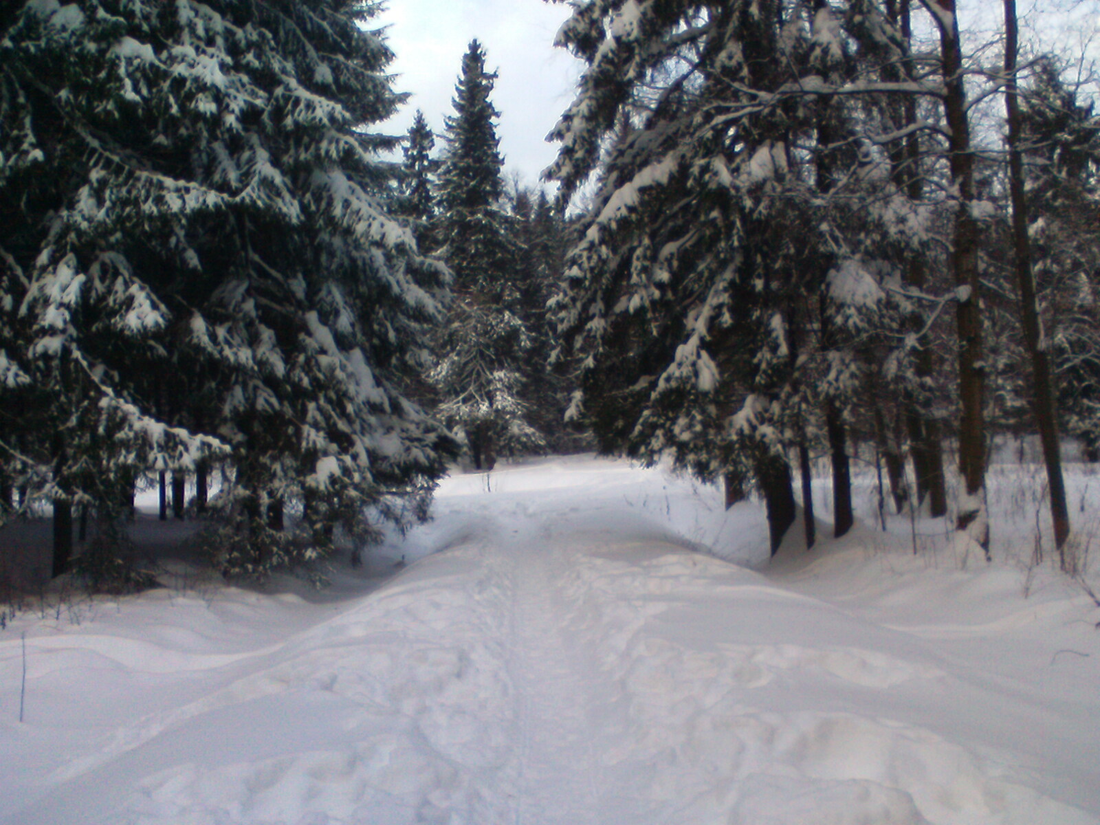 аллея от проваленной трубы и больших озер к круглому маленькому озерцу