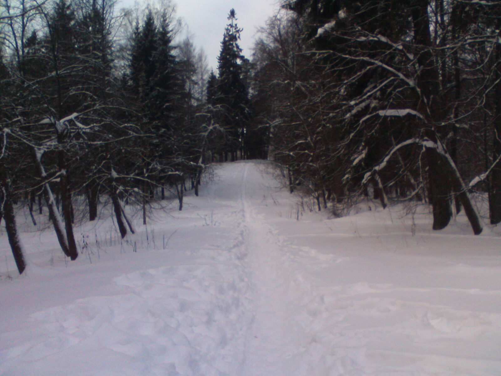 подъем к поляне с разрисованными деревьями и камнями